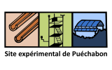 Site expérimental de Puéchabon
